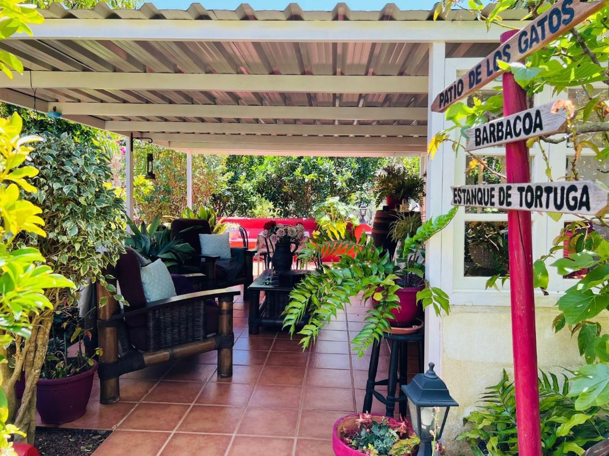 Casa Lazaro, Tegueste Екстериор снимка